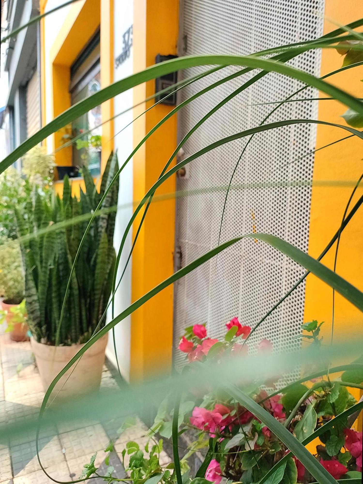 Casa 373 - Hospedaria Vila Mariana - Valores Acessiveis São Paulo Eksteriør bilde