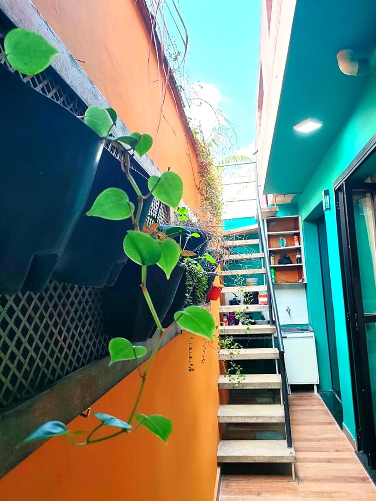Casa 373 - Hospedaria Vila Mariana - Valores Acessiveis São Paulo Eksteriør bilde